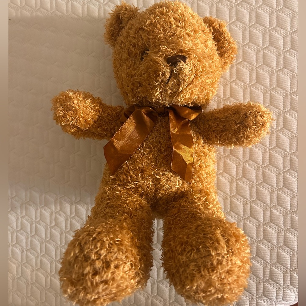 Brown Teddy Bear with Ribbon